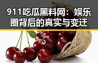 911吃瓜黑料网：娱乐圈背后的真实与变迁