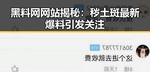 黑料网网站揭秘:秽土斑最新爆料引发关注