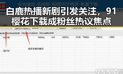 白鹿热播新剧引发关注，91樱花下载成粉丝热议焦点