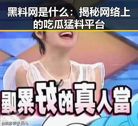 黑料网是什么:揭秘网络上的吃瓜猛料平台