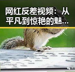 网红反差视频：从平凡到惊艳的魅力变变变