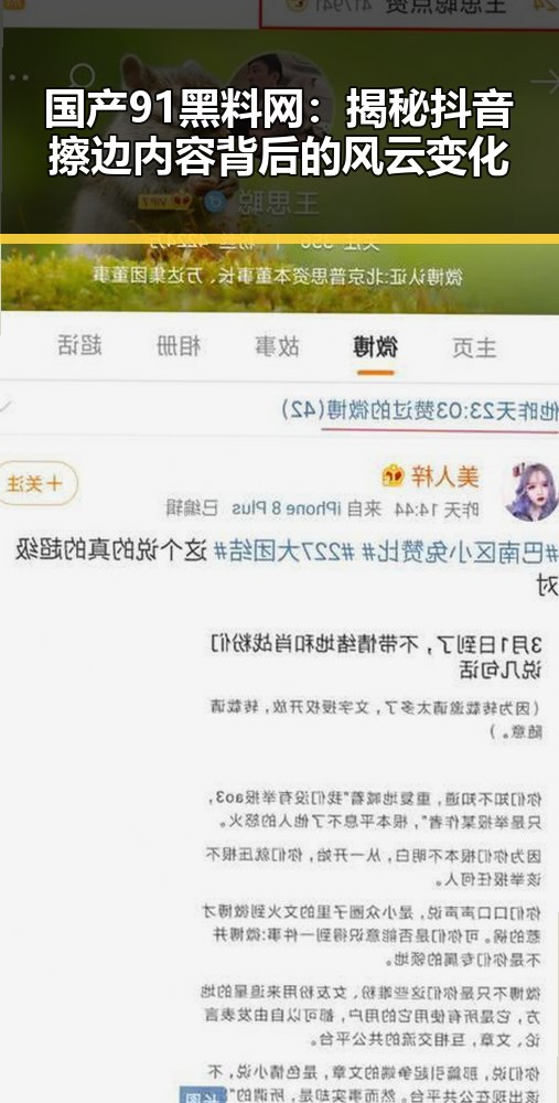国产91黑料网：揭秘抖音擦边内容背后的风云变化