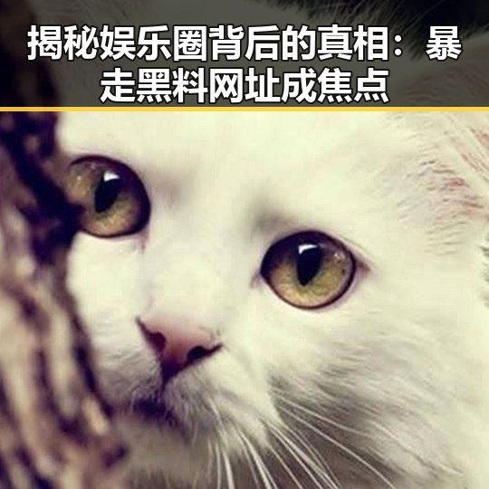 揭秘娱乐圈背后的真相：暴走黑料网址成焦点