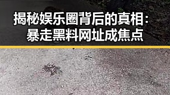 揭秘娱乐圈背后的真相：暴走黑料网址成焦点