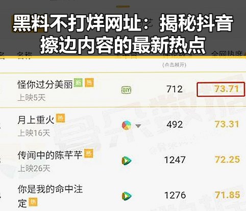 黑料不打烊网址：揭秘抖音擦边内容的最新热点